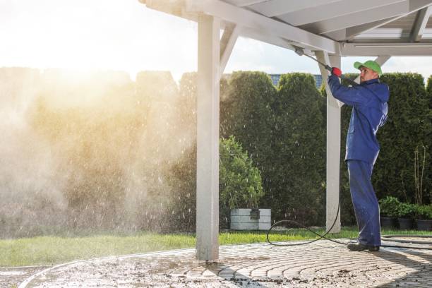 Best Roof Washing  in Naples Manor, FL