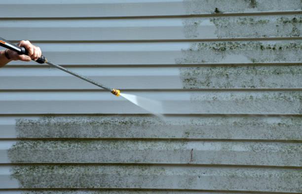Best Fence Cleaning  in Naples Manor, FL