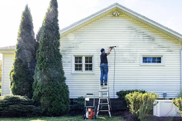 Best Driveway Pressure Washing  in Naples Manor, FL